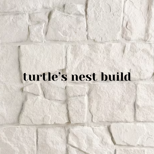 Turtle's nest build